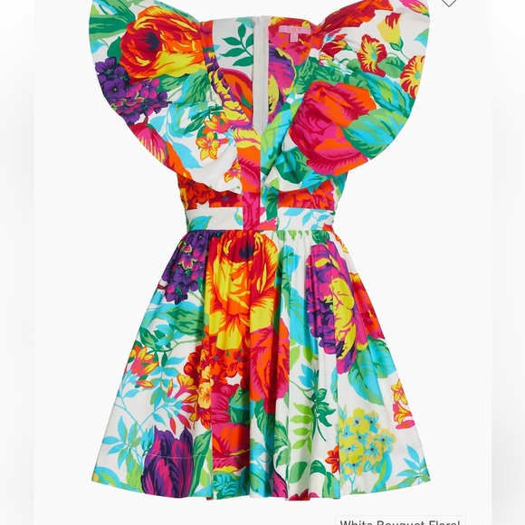 $255 LDT
Evelyn Floral Ruffled Cotton Poplin Minidress size6 - Picture 4 of 8